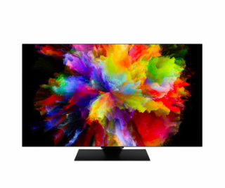 Panasonic TV-65Z80AEZ schwarz