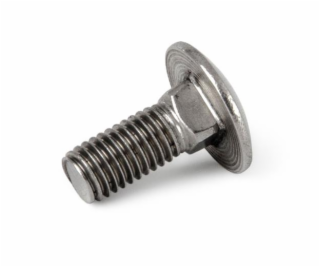 Šroub G21 vratový M10x25, DIN 603, nerez