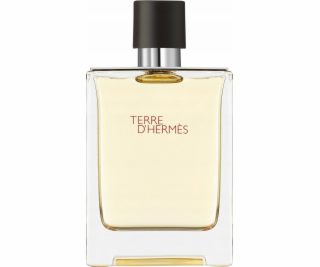 Hermes Terre D hermes toaletní voda Purškiklis 100ml