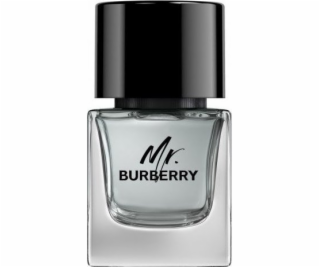 Burberry BURBERRY Mr. Burberry EDT sprej 50ml