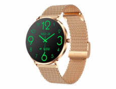 CARNEO Phoenix HR+ 2nd Gen/41mm/Gold/Elegant Band/Gold