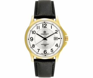 Perfect Pánské hodinky C710T-09