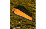 7136617