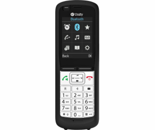 OpenScape DECT Phone R6
