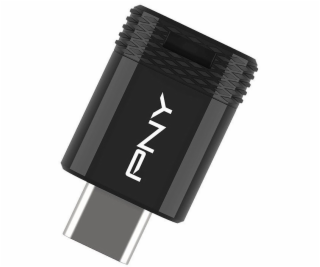 PNY USB flash disk 256GB Elite-X USB-C 3.2 P-FDI256EXFITC-GE