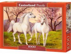 Castor 1000dílné puzzle Zamilovaní jednorožci