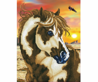 DIAMOND DOTZ Diamantová výšivka Diamond Dotz Strakatý kůň...