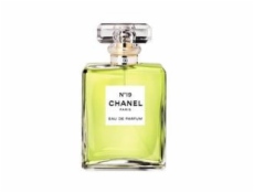 Chanel N°19 EdP 100 ml Pro ženy