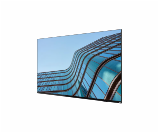 Lenovo ThinkVision E55 54,6 /16:9/3840x2160/8ms