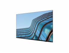 Lenovo ThinkVision E55 54,6 /16:9/3840x2160/8ms