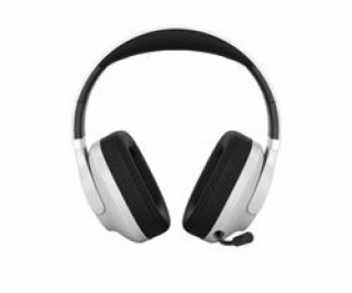 CANYON headset EGO GH-16 3in1 2.4Ghz+BT White