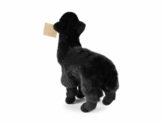 Rappa Plyšová lama alpaka černá 23 cm ECO-FRIENDLY