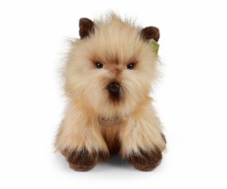 Rappa Plyšový pes cairnteriér 30 cm ECO-FRIENDLY