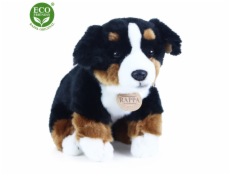 Rappa Plyšový pes bernský salašnický sedící 25 cm  ECO-FRIENDLY