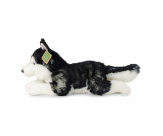 Rappa Plyšový pes husky 36 cm ECO-FRIENDLY