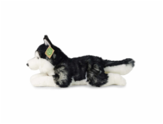 Rappa Plyšový pes husky 36 cm ECO-FRIENDLY
