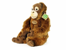 Rappa Plyšová opice orangutan 27 cm ECO-FRIENDLY