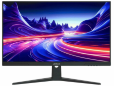 DAHUA 25  LED LM25-E231BN/ IPS panel/ 1920x1080 (FHD)/ 1000:1/ 1ms/ 350 cd/m2/ HDMI/ DP/ VESA 100x100/ černý