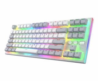 Hator Klávesnice Gravity TKL RGB Aurum Orange (HTK561)