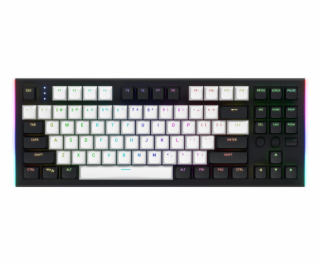 Hator Klávesnice Gravity TKL RGB Aurum Orange (HTK560)