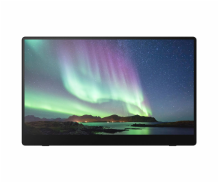 Ricoh 150BW Mobiler OLED-Monitor mit Touchscreen