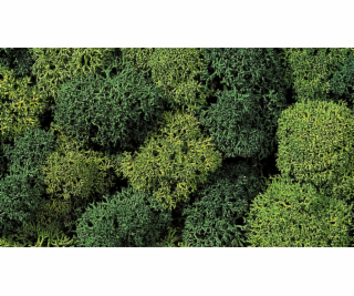 Noch Dekorační mech světle a tmavě zelený