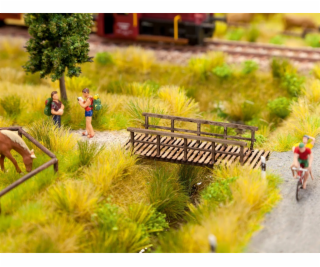 Noch ravní trs kvetoucí sada 104 ks