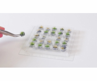 Noch PROFI Travní trs kvetoucí sada 25 ks