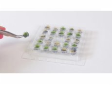 Noch PROFI Travní trs kvetoucí sada 25 ks