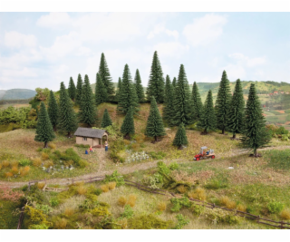 Noch Jedle sada 25 ks