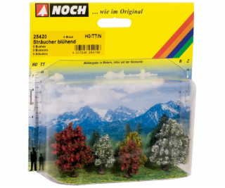 Noch Keř kvetoucí sada 5 ks