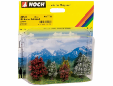 Noch Keř kvetoucí sada 5 ks