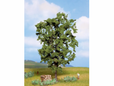 Noch Kaštanovník 19 cm