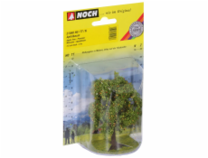 Noch Jabloň s plody