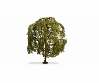 Noch Smuteční vrba