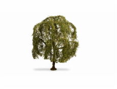 Noch Smuteční vrba