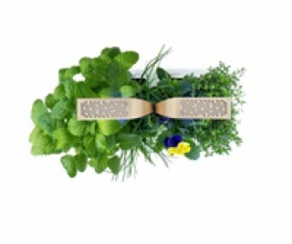 Véritable CONNECT - Smart automatický květináč s regulací...