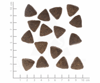 WOLFSBLUT Wide Plain Large Breed Horse with sweet potatoe...