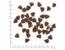 WOLFSBLUT Wide Plain Puppy Horse with sweet potatoes - suché krmivo pro psy - 12,5kg