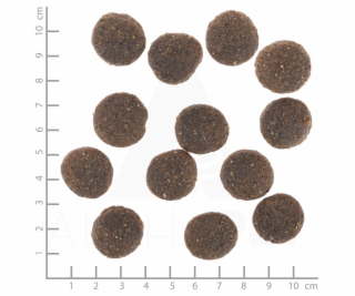 WOLFSBLUT Range Lamb Lamb with rice - suché krmivo pro ps...