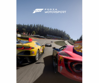 ESD Forza Motorsport