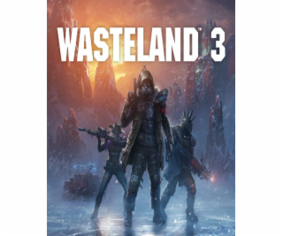 ESD Wasteland 3