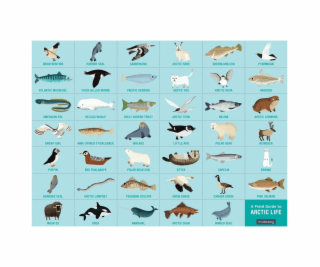 Mudpuppy Puzzle skládej a hledej Život v Arktidě 64 dílů 