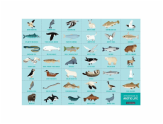 Mudpuppy Puzzle skládej a hledej Život v Arktidě 64 dílů 