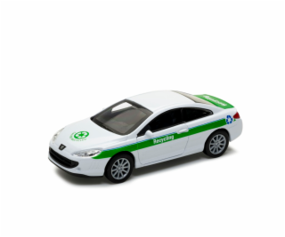 Welly Peugeot Coupé 407 Recycling 1:34