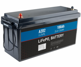 A2D2 LFA2-24V100C10-M8B2