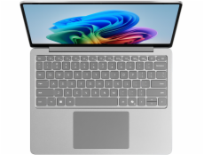 Microsoft Surface Laptop 13 /SD-X Plus/13 /1920x1280/T/24GB/1TB/Adreno/W11P/Platinum/2R