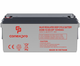Baterie Conexpro AGM-12-65-DP VRLA AGM 12V/65Ah, M6, Deep...