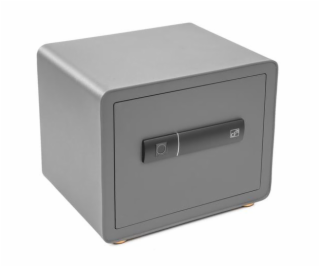 Trezor G21 na otisk prstu 380 x 310 x 300 mm