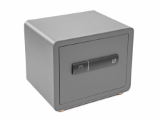 Trezor G21 na otisk prstu 380 x 310 x 300 mm